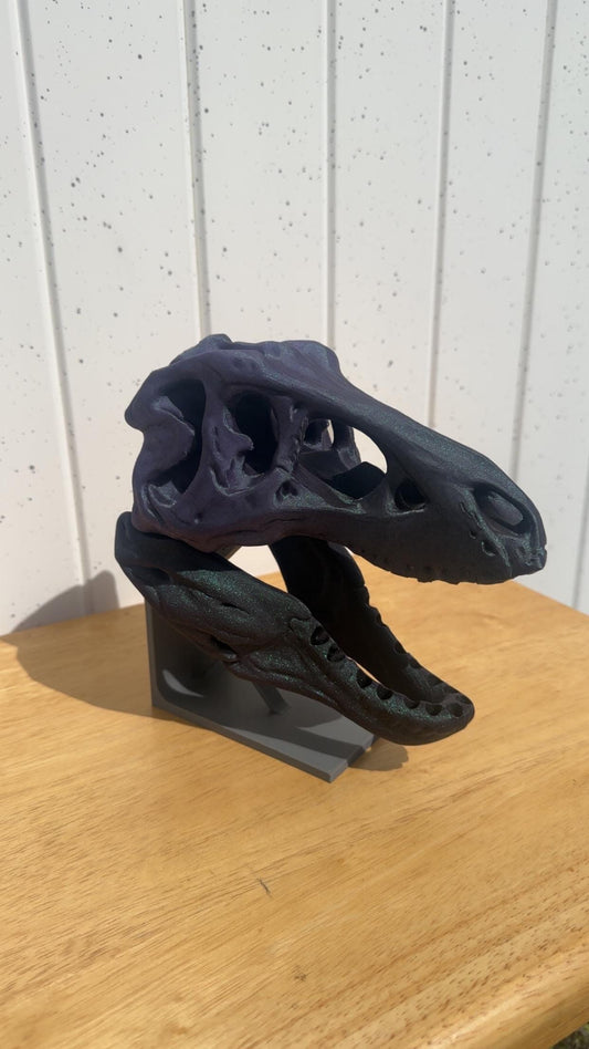 Dinosaur Fossil Bit Organizer