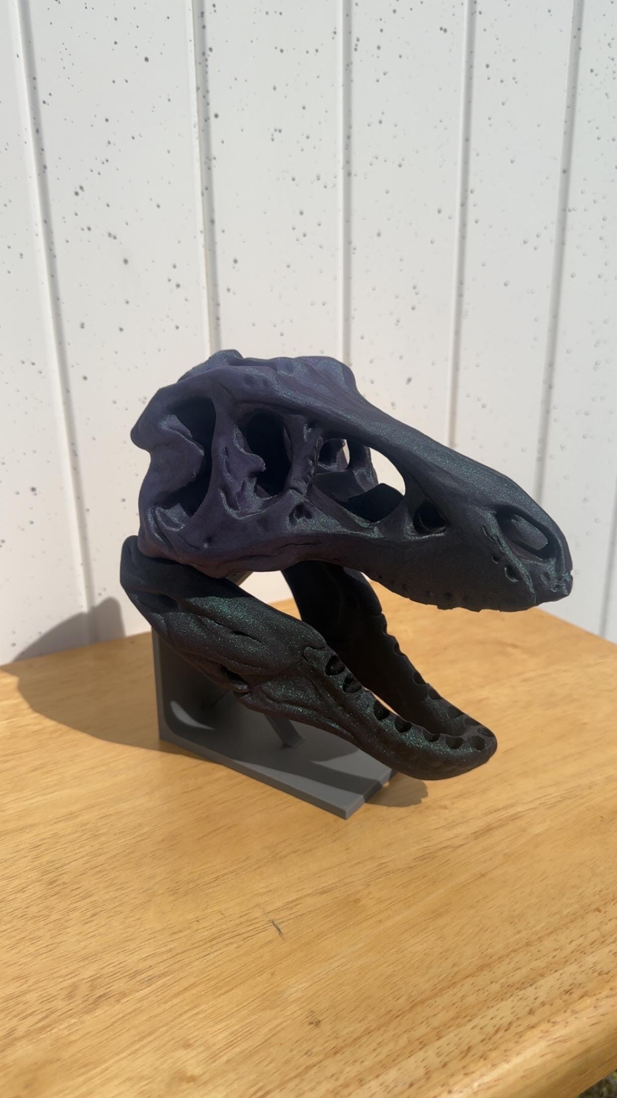 Dinosaur Fossil Bit Organizer