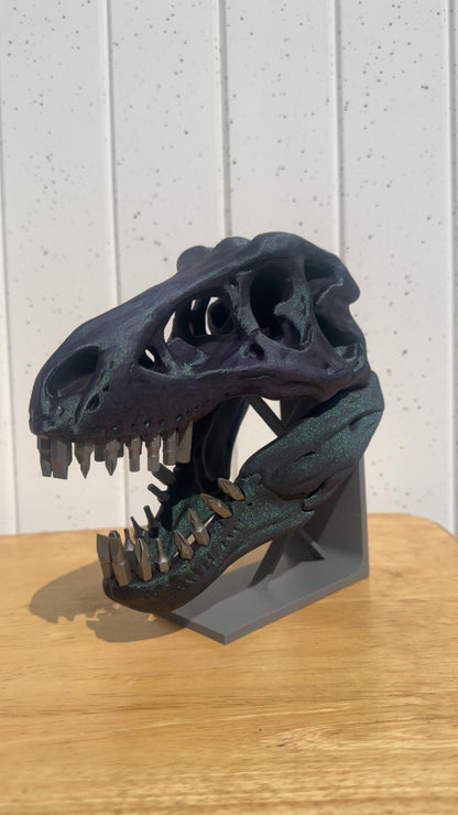 Dinosaur Fossil Bit Organizer