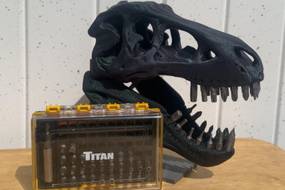 Dinosaur Fossil Bit Organizer