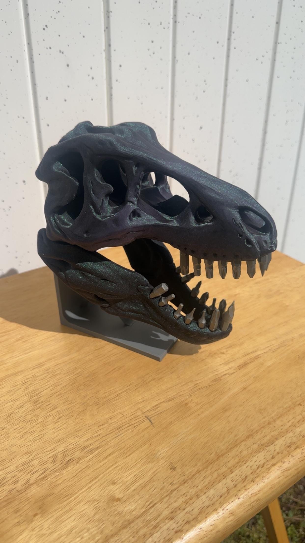Dinosaur Fossil Bit Organizer