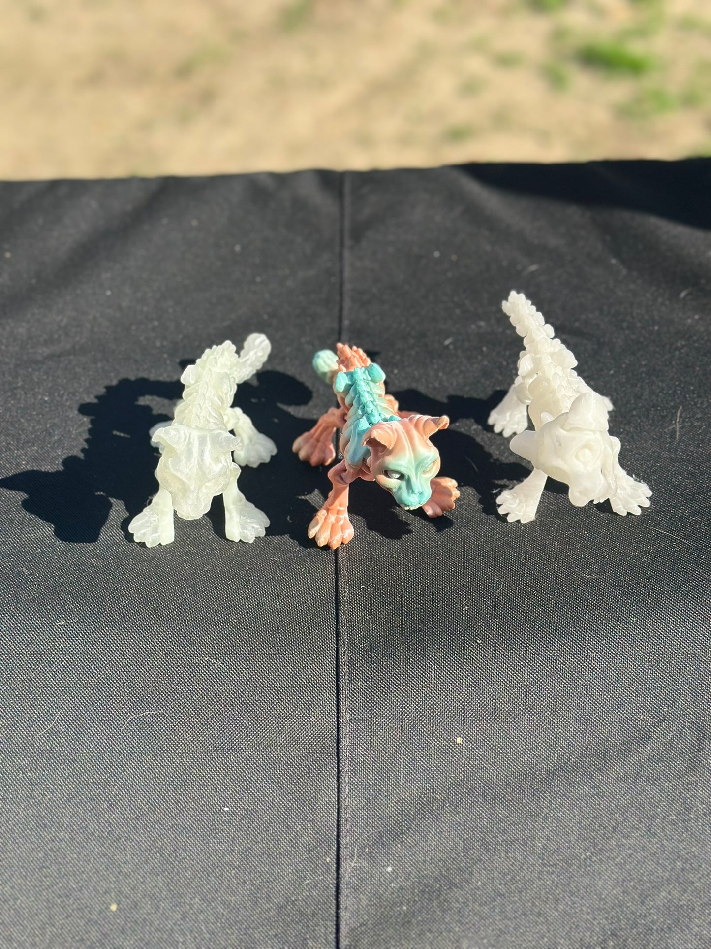 Articulated Skeleton Dogs And Cats