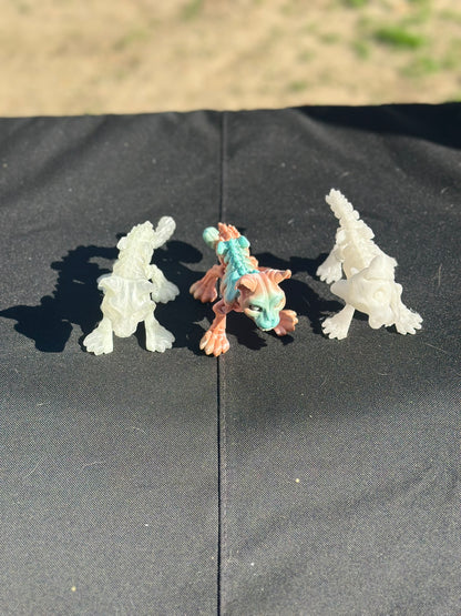 Articulated Skeleton Dogs And Cats