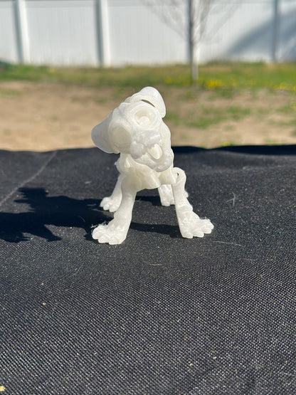 Articulated Skeleton Dogs And Cats