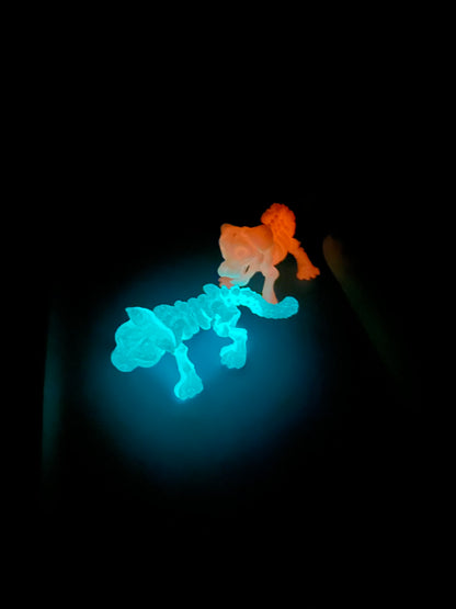 Articulated Skeleton Dogs And Cats