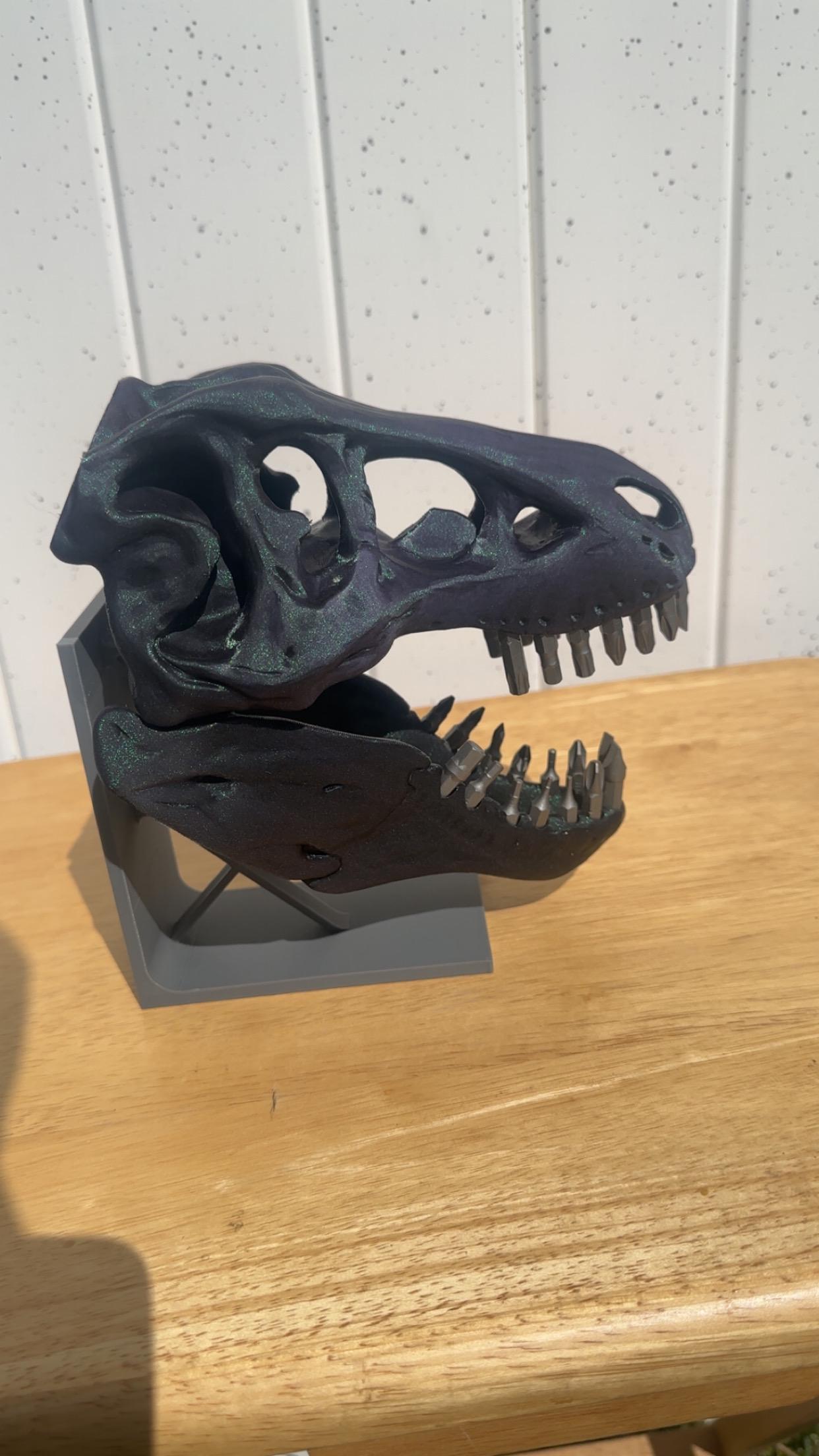 Dinosaur Fossil Bit Organizer